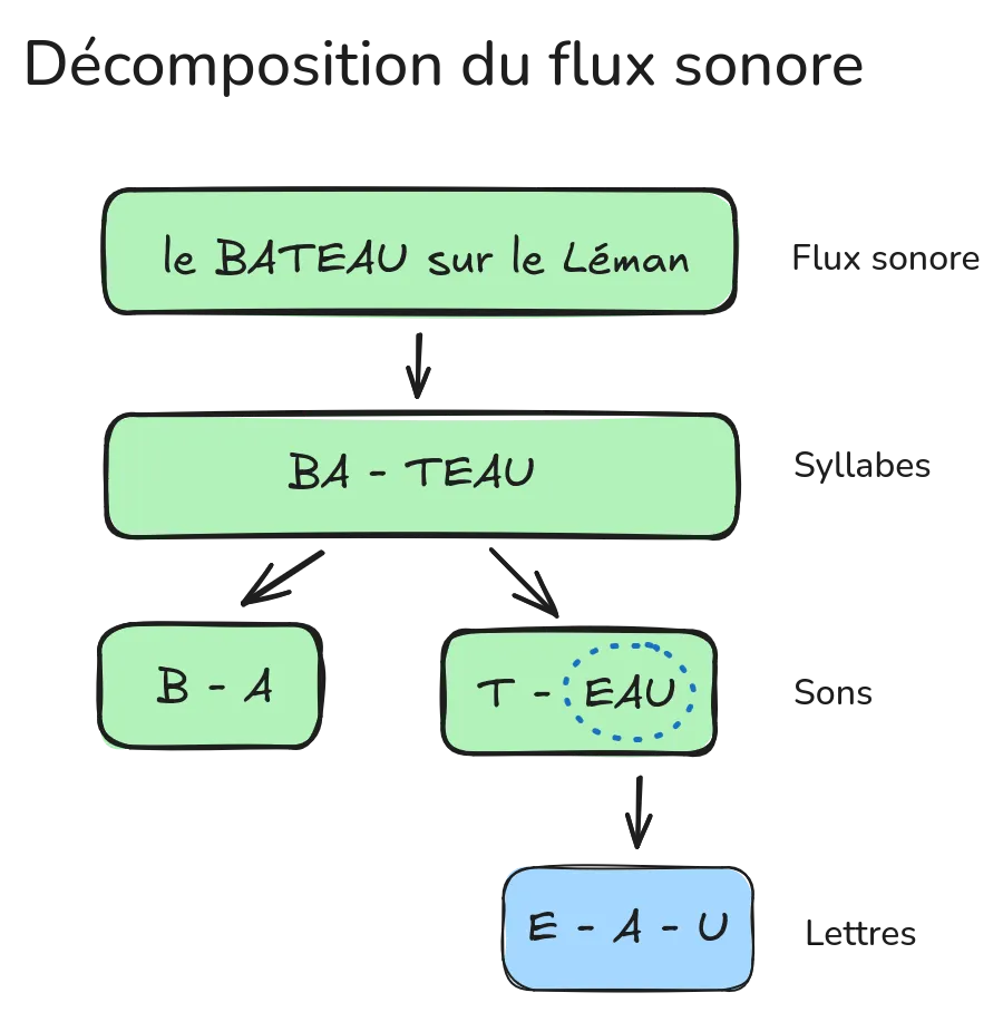 Arbre de décomposition du mot bateau tiré du flux sonore : syllabes, sons, lettres